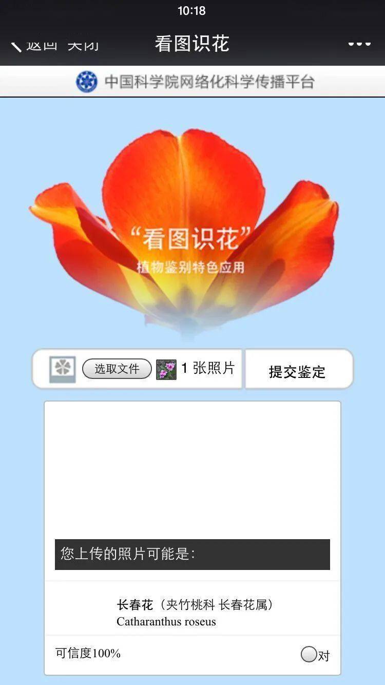开云体育『收藏』绿化设计专题(图3)
