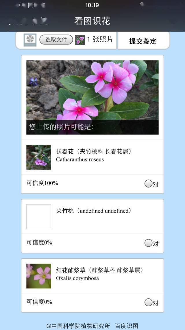 开云体育『收藏』绿化设计专题(图4)