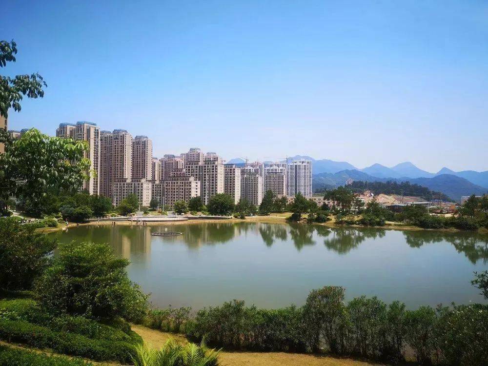 开云体育【文明观察】让文明呵护园林绿化(图1)