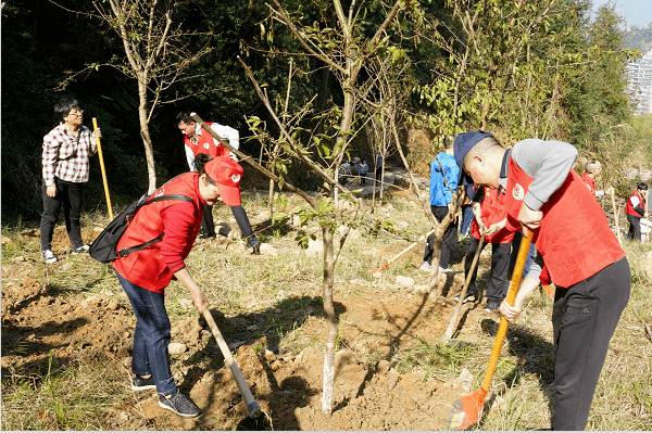 开云体育【文明观察】让文明呵护园林绿化(图4)