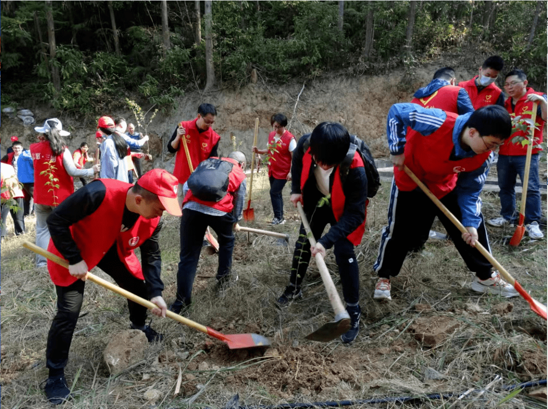 开云体育【文明观察】让文明呵护园林绿化(图5)