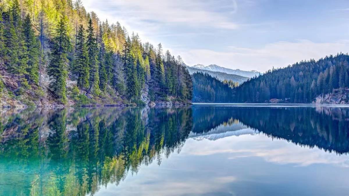 做园林绿化工开云体育程需要办理什么资质？申请条件有哪些(图1)