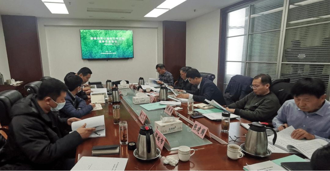 全市荒山绿化三年行动造林作业设计市开云体育级审查会议召开(图1)