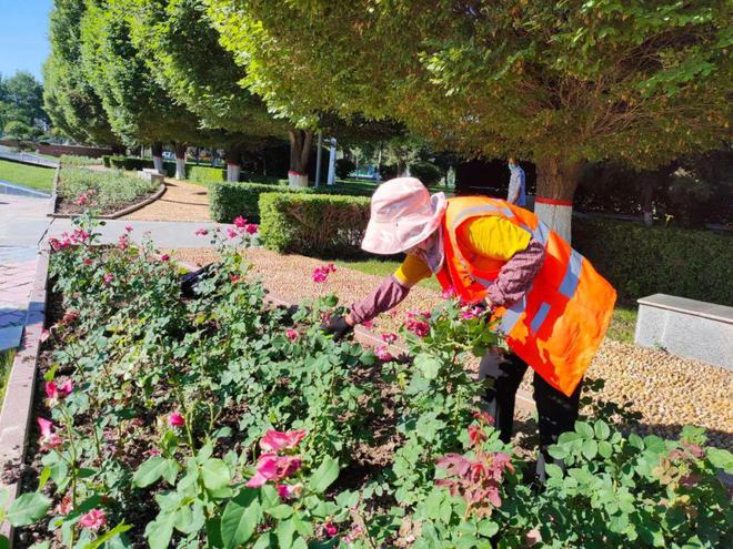 加强园林绿化养护管理 营造良好的绿化环境开云体育(图2)