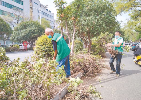 开云体育驻马店市中心城区绿化苗木“梳妆换颜”(图1) 开云体育驻马店市中心城区绿化苗木“梳妆换颜”(图1)