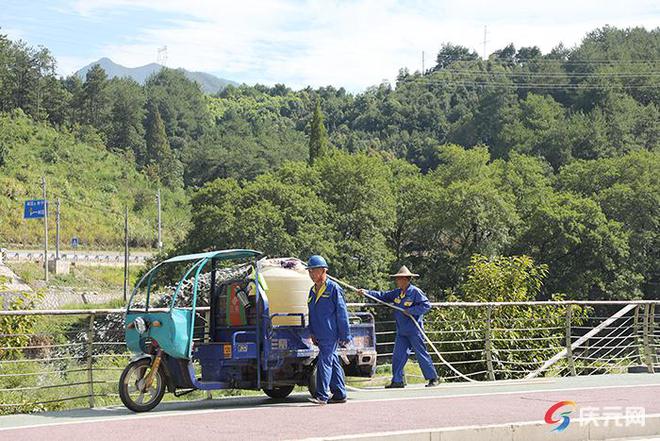 开云体育为绿植送上“及时雨” 园林部门科学施策抗旱保绿(图2)
