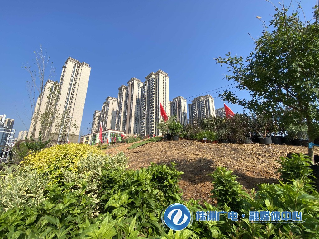 株洲市20开云体育22年园林绿化行业（花境微景观营造）职业技能大赛开赛(图1)