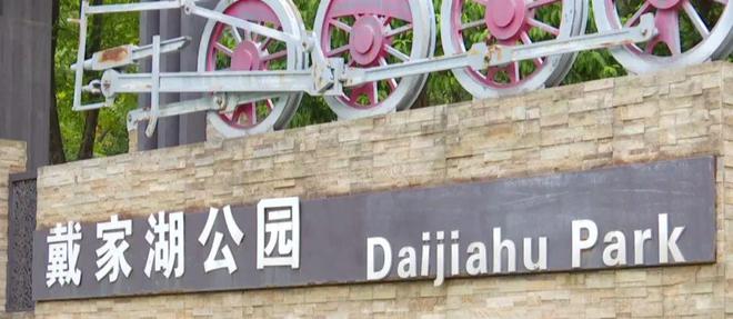 开云体育中秋假期不想人挤人?来逛逛戴家湖公园看彼岸花开(图1) 开云体育中秋假期不想人挤人?来逛逛戴家湖公园看彼岸花开(图1)