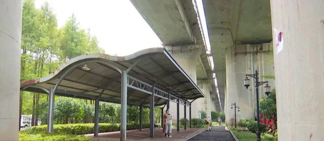 开云体育中秋假期不想人挤人?来逛逛戴家湖公园看彼岸花开(图8) 开云体育中秋假期不想人挤人?来逛逛戴家湖公园看彼岸花开(图8)