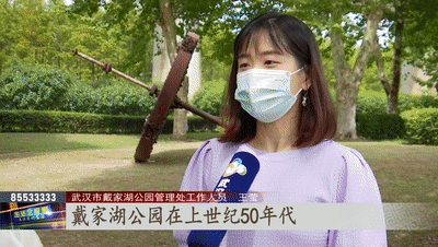 开云体育中秋假期不想人挤人?来逛逛戴家湖公园看彼岸花开(图6) 开云体育中秋假期不想人挤人?来逛逛戴家湖公园看彼岸花开(图6)