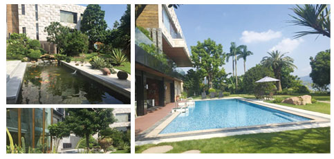 开云体育南宁市权鸿园林绿化工程有限公司(图1) 开云体育南宁市权鸿园林绿化工程有限公司(图1)