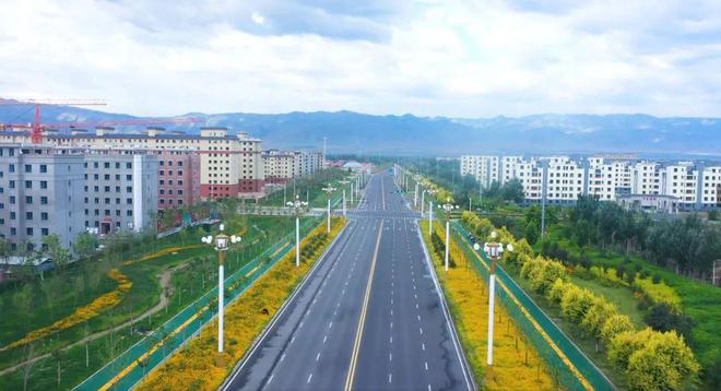 开云体育精心修剪 为城市绿化换新颜(图1)