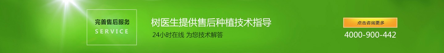 树医生园林绿化工程技术（中山）有限公司开云体育(图6)