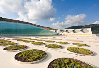 开云体育南京玄武园林绿化工程有限责任公司(图2)