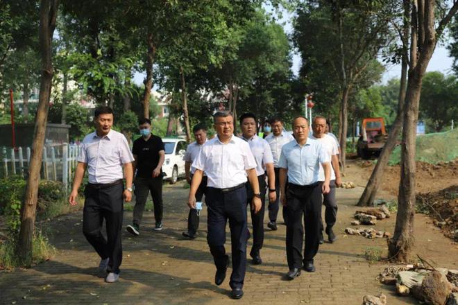 开云体育滕州：龙泉路道路绿化景观正在进行升级改造！(图3)