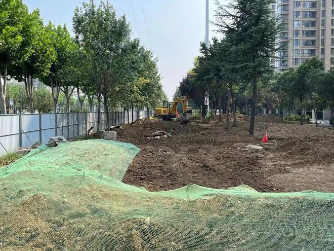 开云体育滕州：龙泉路道路绿化景观正在进行升级改造！(图4)