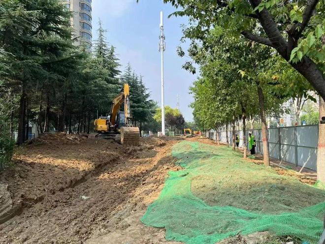开云体育滕州：龙泉路道路绿化景观正在进行升级改造！(图5)