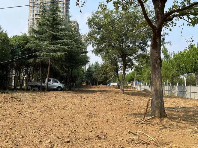 开云体育滕州：龙泉路道路绿化景观正在进行升级改造！(图2)