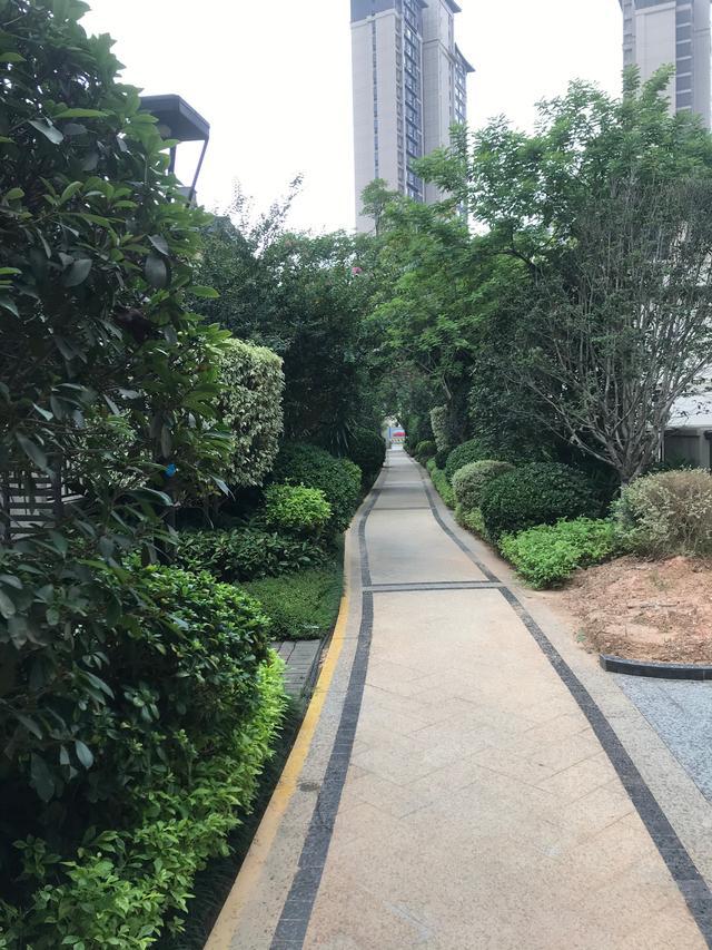 海投第一湾真有这么差？你确定？开云体育(图3)