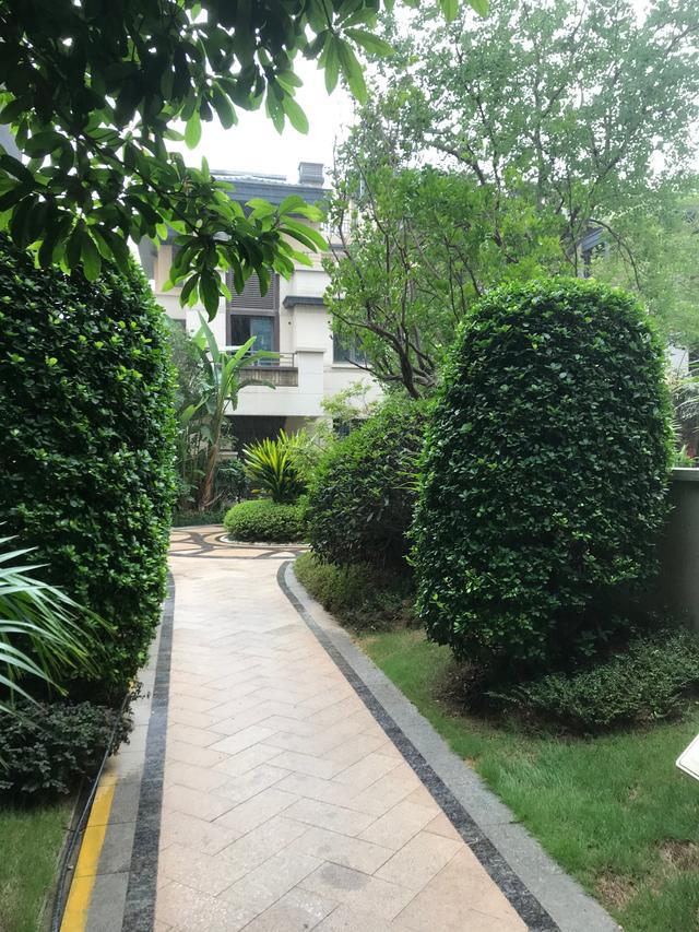 海投第一湾真有这么差？你确定？开云体育(图4)