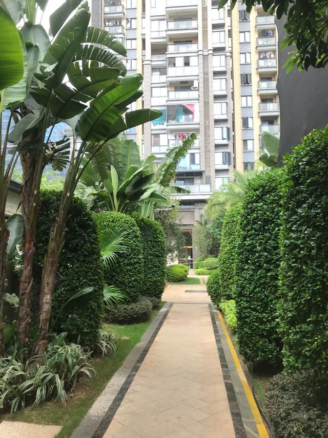 海投第一湾真有这么差？你确定？开云体育(图5)