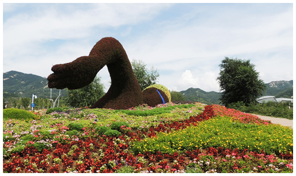 哈尔滨园林开云体育绿化(图1)