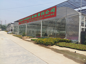 成都绿植租摆公司开云体育(图2)