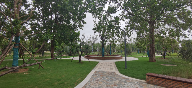 济南市园林和林业绿化局念好绩效管理开云体育“三字经”(图3) 济南市园林和林业绿化局念好绩效管理开云体育“三字经”(图3)