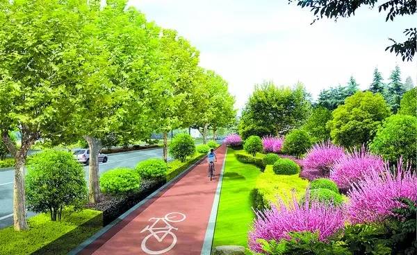 开云体育道路绿化设计规范大全收藏！(图2)