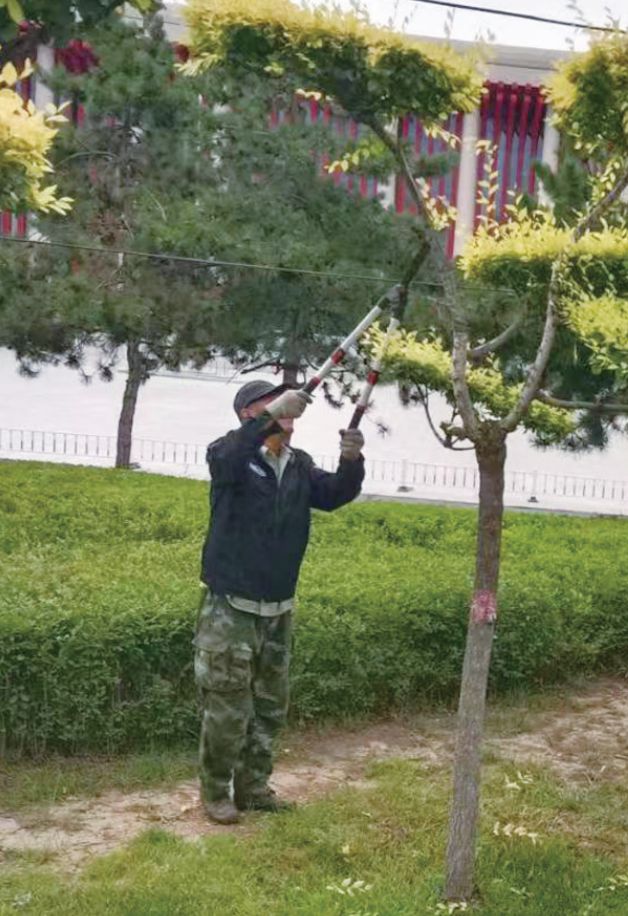 开云体育数字园林让管理“快精准”(图1) 开云体育数字园林让管理“快精准”(图1)