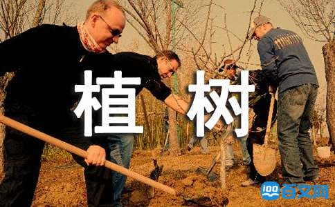 景观绿化设计方案开云体育(图1)
