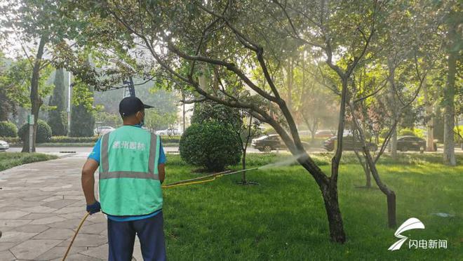开云体育高标准、严落实！德州市园林绿化服务中心持之以恒推动全国文明城市创建工作(图2)