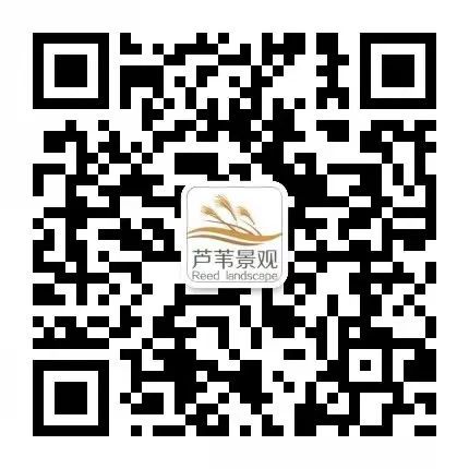 开云体育不足一张《长津湖》票价我居然赚了三门课！(图6)