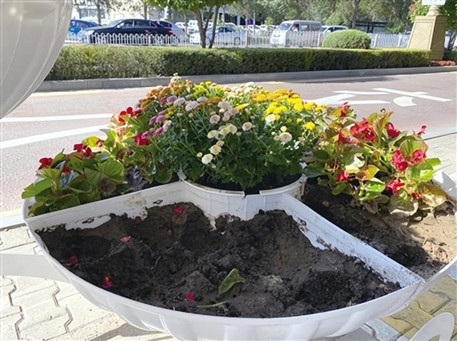 包头20余处口开云体育袋公园年底全部投入使用(图1)