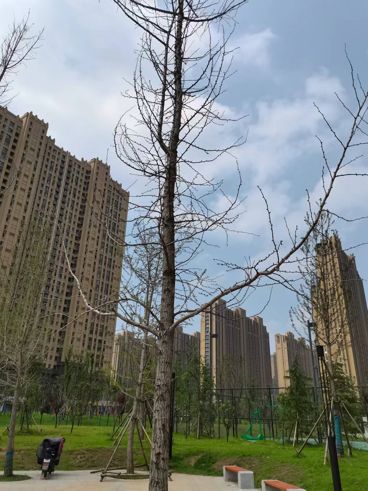 园林绿化企业中存在的问题开云体育-园林精细化养护管理-绿化养护中存在的问题和解决(图3)