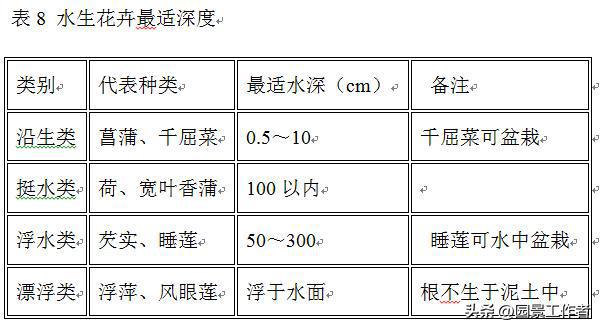 开云体育城市园林绿化工程施工及验收规范(图4)