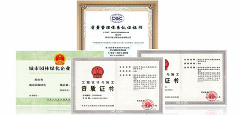 开云体育郑州景观绿化公司厂区绿化别墅庭院学校-枫杨园林(图1)