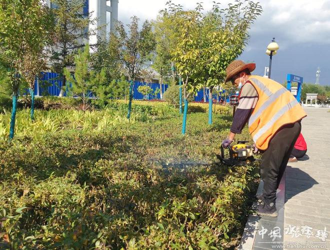 开云体育【我为县庆做贡献】加强园林管护 提升游园品质(图)(图2)