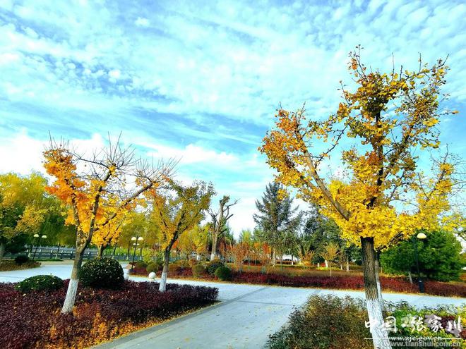 开云体育【我为县庆做贡献】加强园林管护 提升游园品质(图)(图3)