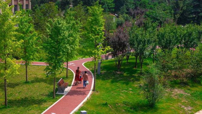 开云体育推行园林绿化废弃物无害化处理和再利用让城市绿化更加生态和谐(图1)