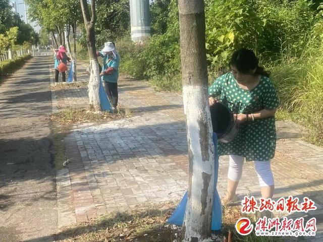 开云体育 开云官网芦淞区园林绿化中心组织开展抗旱保苗志愿服务活动(图2)