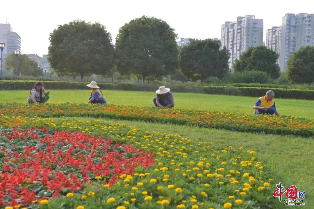 南充市城管局建立市辖区城市园林绿化技术帮扶工作机制开云体育 开云平台(图1)