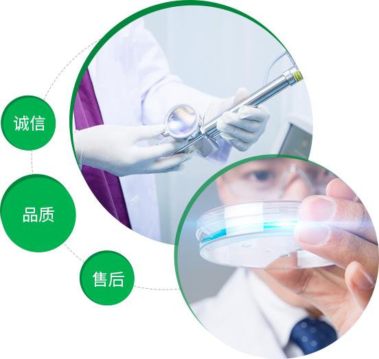 内江市东兴区枫景园艺花卉经营部开云体育 开云官网(图1)