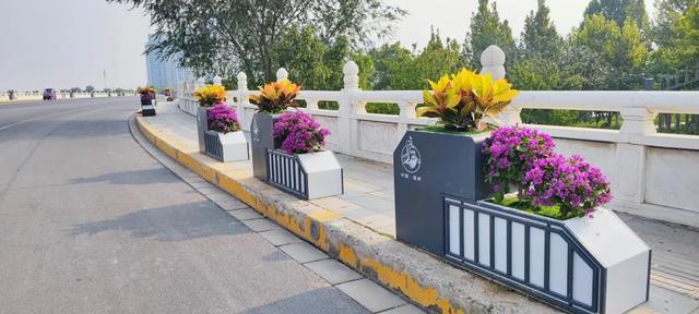 开云体育 开云平台运城市区：摆花布景正当时 装扮城市迎旅发(图8)