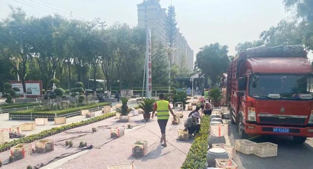 开云体育 开云平台运城市区：摆花布景正当时 装扮城市迎旅发(图9)