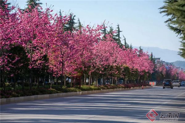 永胜：建设美丽开云体育 开云平台县城 提升群众幸福感(图4)