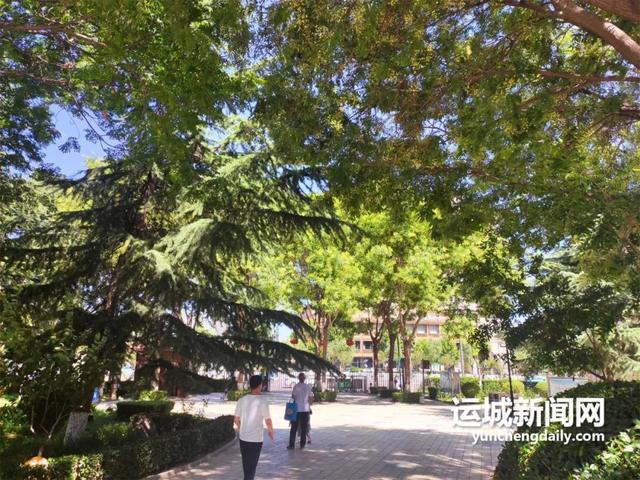 开云体育 开云官网我的运城｜增植添绿让城区更具活力(图1)