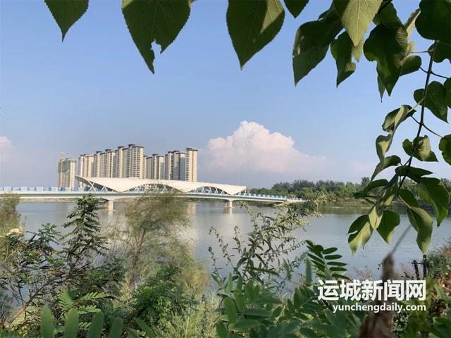 开云体育 开云官网我的运城｜增植添绿让城区更具活力(图11)
