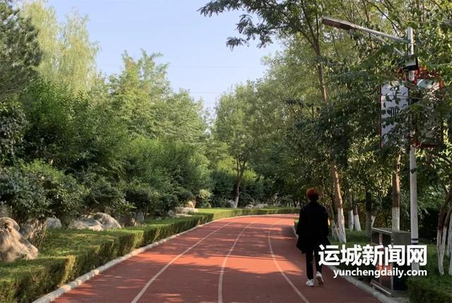 开云体育 开云官网我的运城｜增植添绿让城区更具活力(图13)