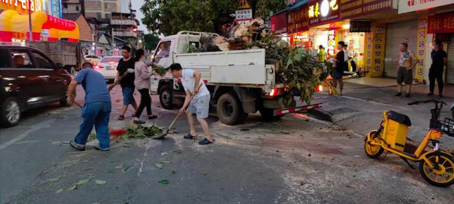 开云体育 开云平台市城市管理局园林绿化中心：应急处置倒伏树木全力保障道路畅通(图3)